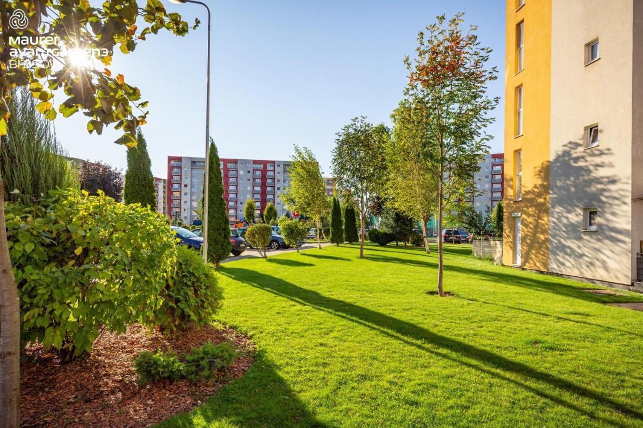 Apartment Richy Brașov Exterior foto